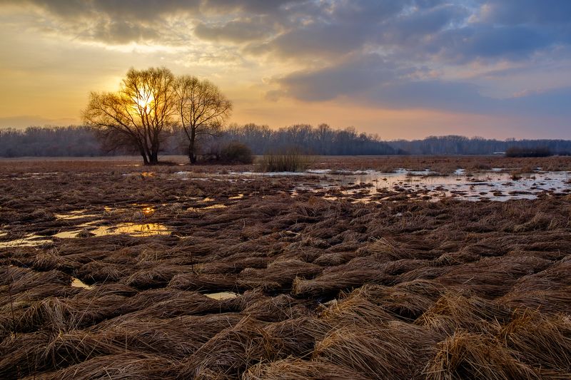 закат,пейзаж,вечер,landscape,nature,sunset Весенний закатphoto preview