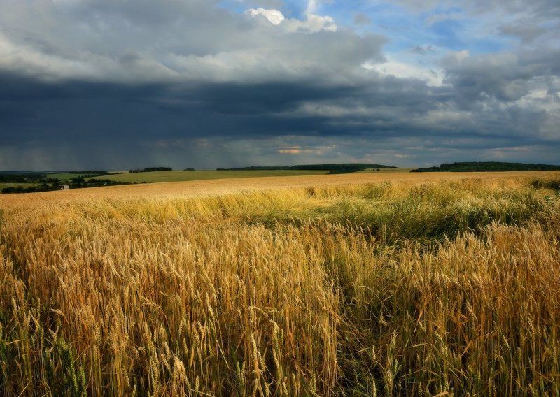 После жаркого дняphoto preview