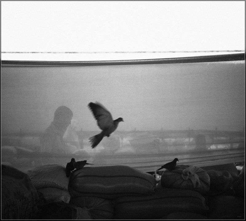 Аквариум фото превью