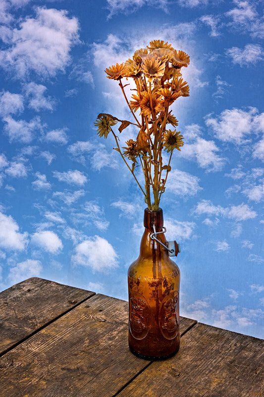 blue, bottle, color, colors, color image, concept, conceptual, flower, flowers, photography, sky, still life, table, Just Like Starting Overphoto preview
