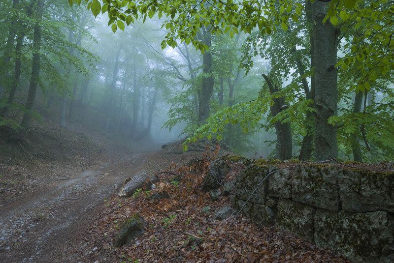 Старые стены Романовской дороги.photo preview