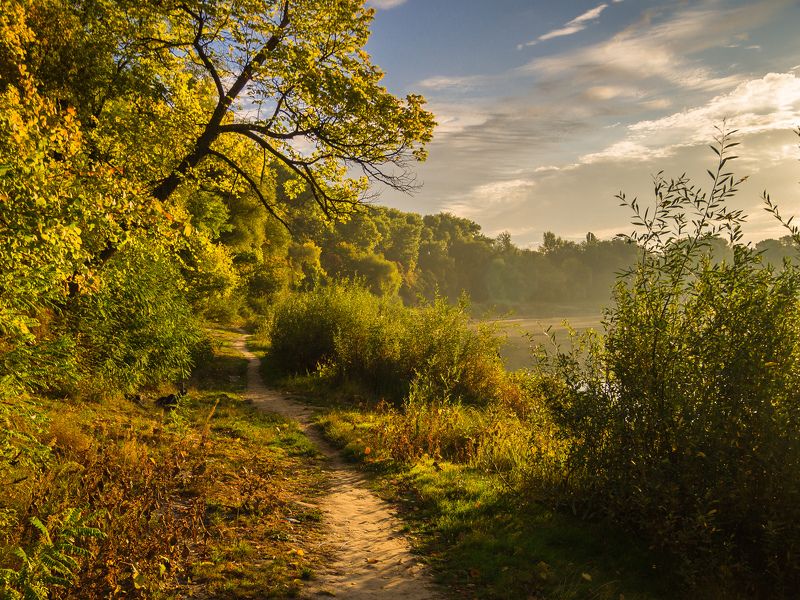 осень,пейзаж,природа,листва,nature,landscape,autumn Прохладное утро сентябряphoto preview