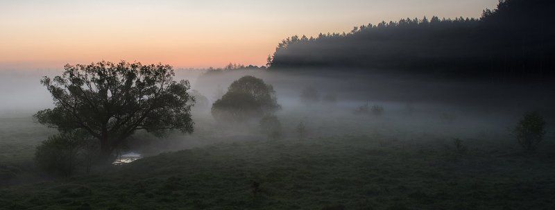 Май, утро, туман...photo preview