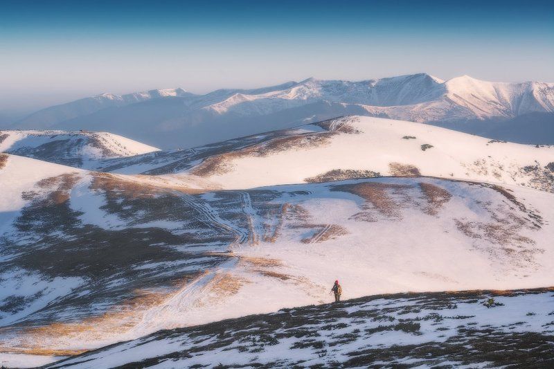 В поисках сюжета фото превью