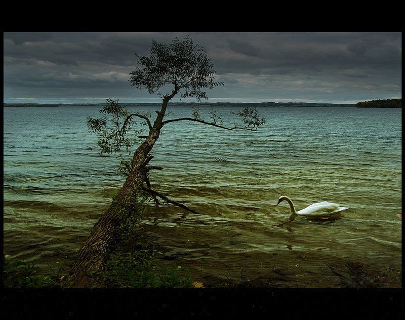 Хмурыйphoto preview