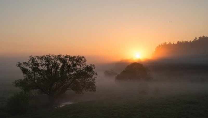 Утро раннее...photo preview