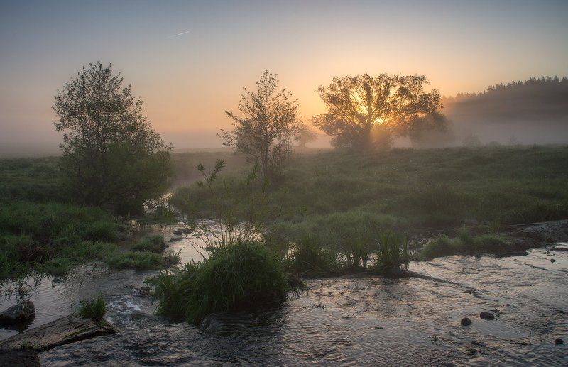 Туманное утро...photo preview