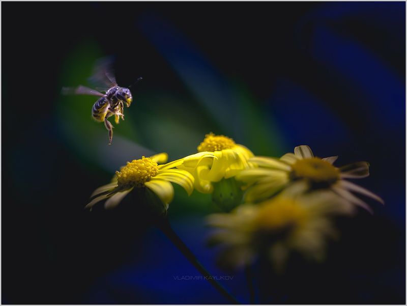 Огни ВПП (взлетно-посадочной полосы). Май 2017 СКФО.photo preview