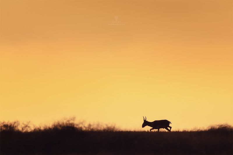 Вечерний забегphoto preview