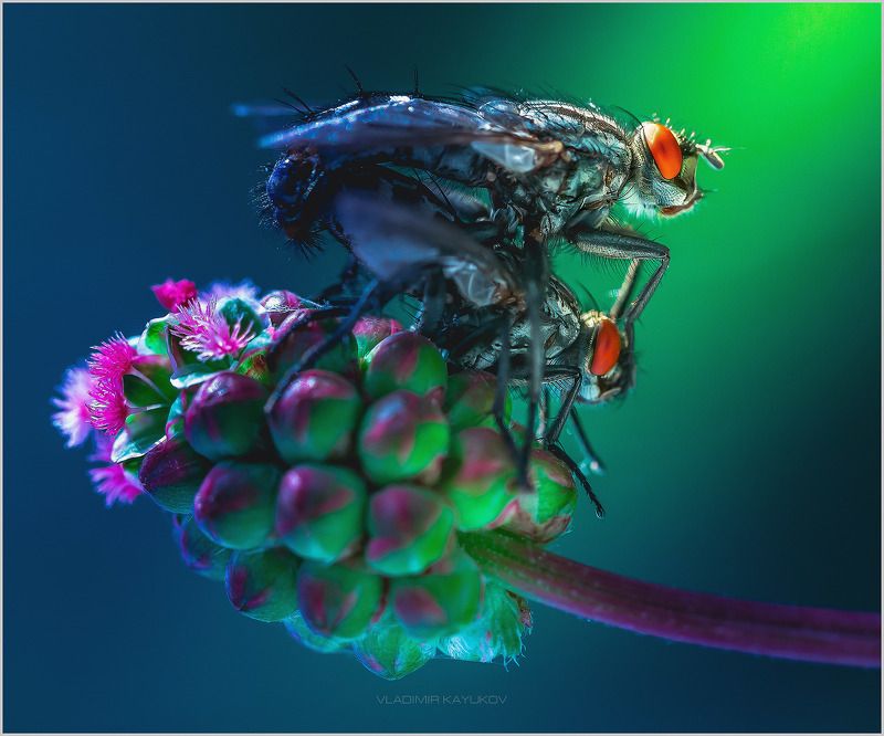 Весна, знаете ли... Май СКФО.photo preview