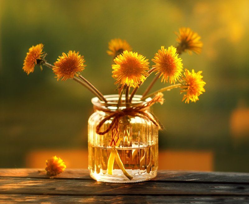 Солнышки смотрят на солнышкоphoto preview