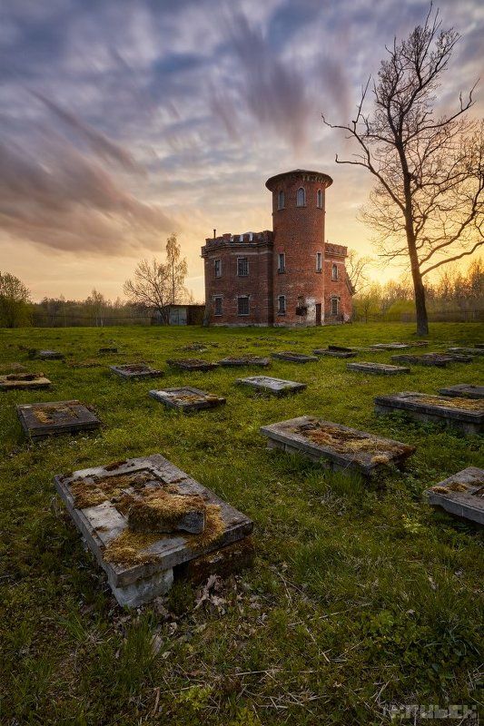 Пенсионерная конюшняphoto preview