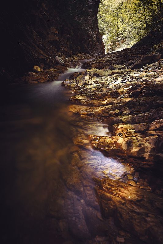 В начале путиphoto preview