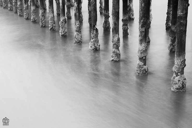 longexposure,fineart,sea,nature,rock,water,calm,landscape,iran,dream,fog,abstract,canon,canon80d,canonphotography,blackandwhite,black,white,mohammadhemmaty,concept,pier,light,contrast,composition,tree,columns,pier Old Columns Of Pierphoto preview