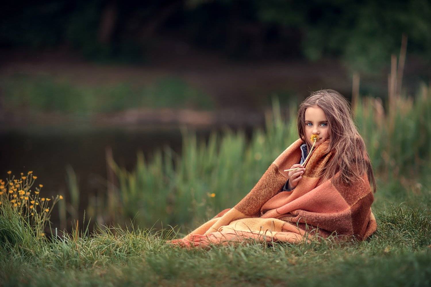 Вероника. Автор: Юлия Таратынова , Юлия Таратынова