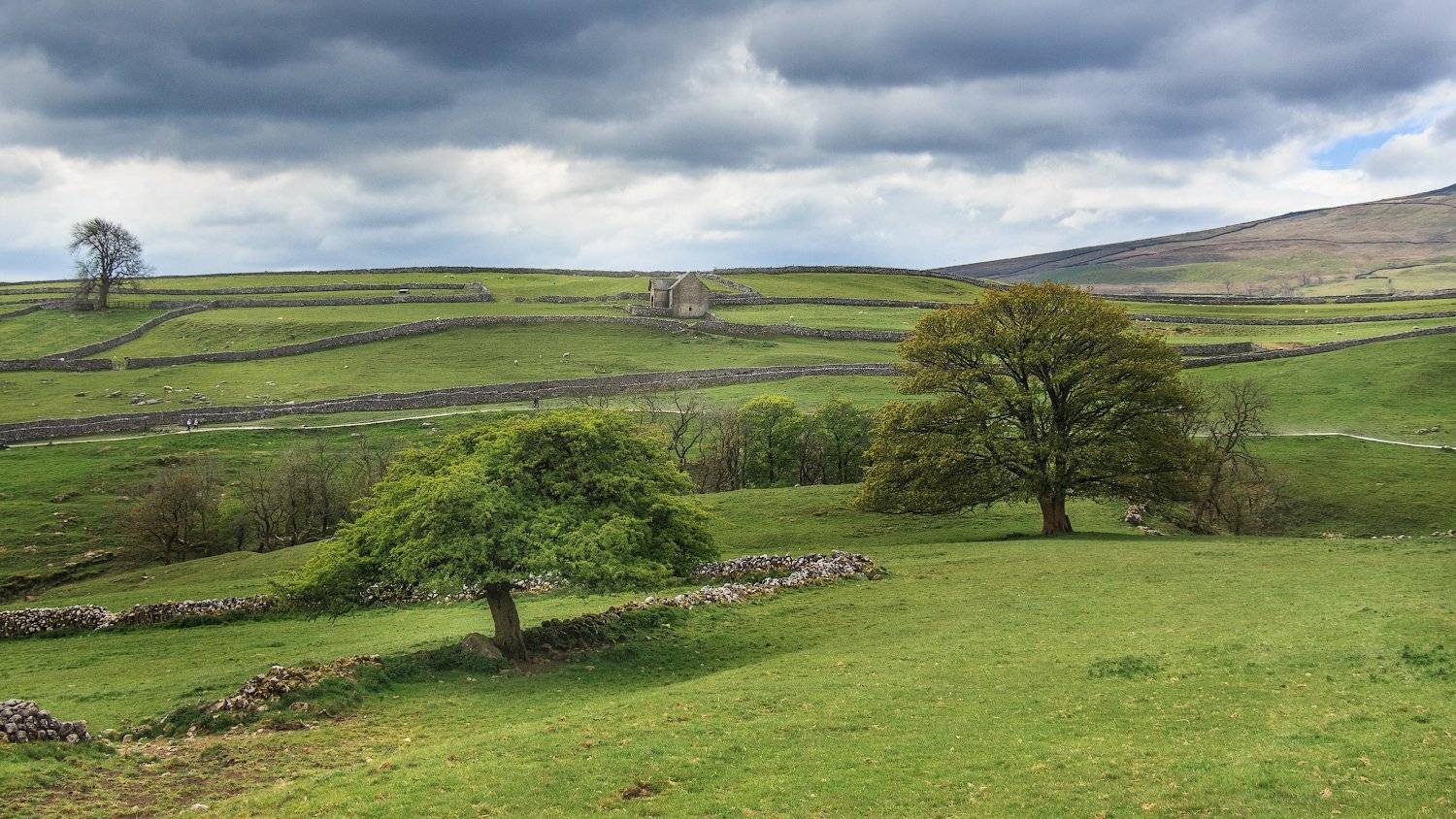 Автор: Проценко Виктор , Проценко Виктор