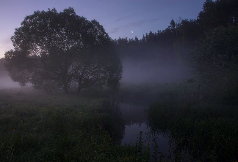 Лунные сумерки...photo preview