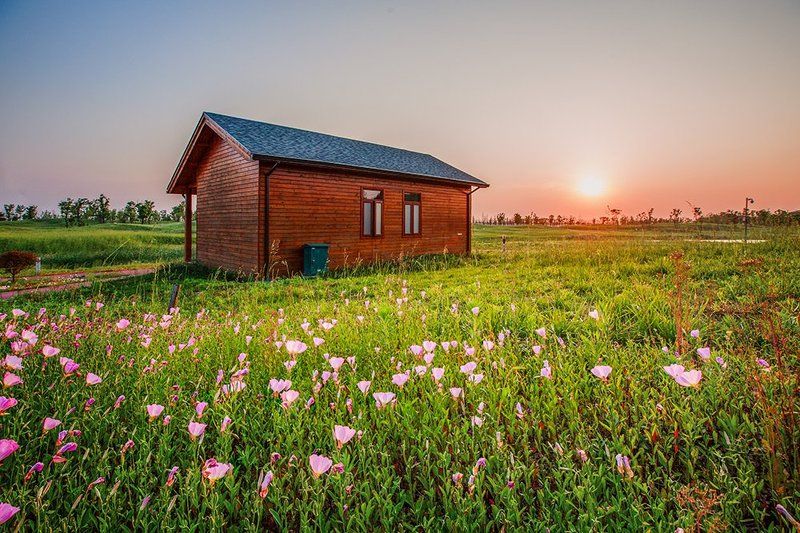 The cabinphoto preview