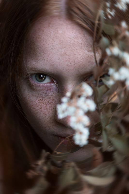 портрет, девушка, искусство, рыжая, конопушки Галинаphoto preview