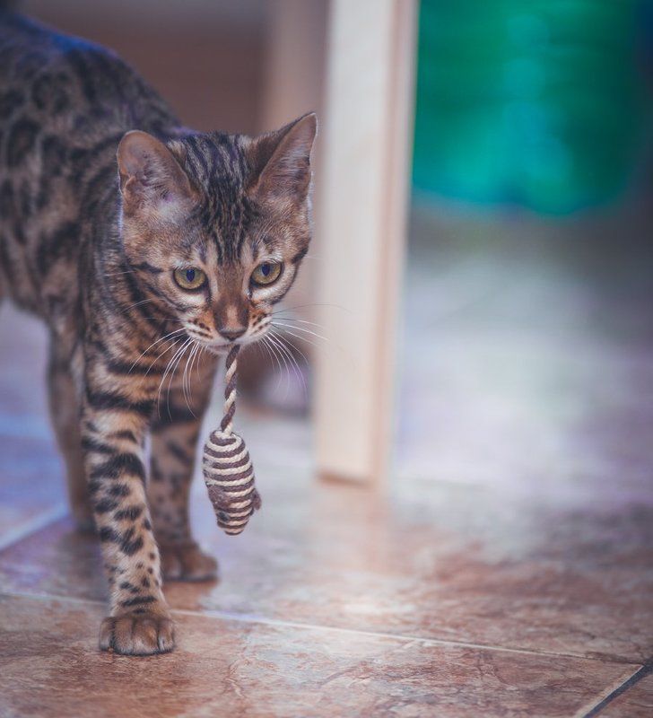 С чего то нужно начинать )photo preview