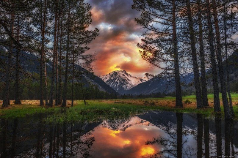 Пламя закатаphoto preview