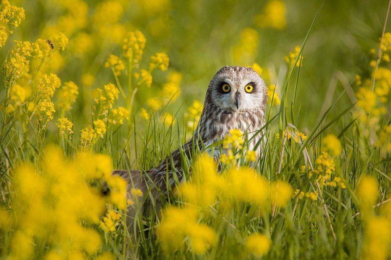 Что?Где?photo preview