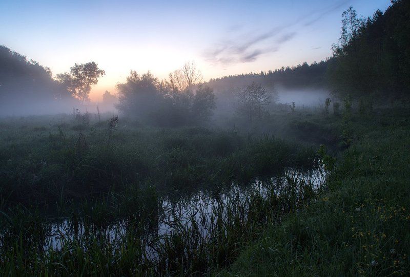 Утро в мае...photo preview