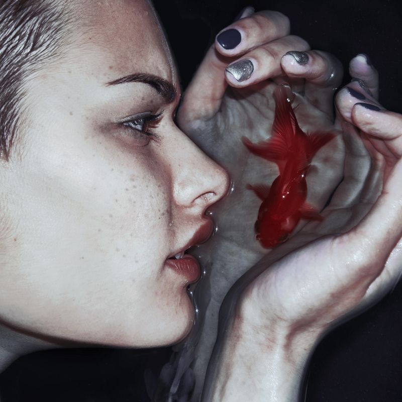 silence,fish Silencephoto preview