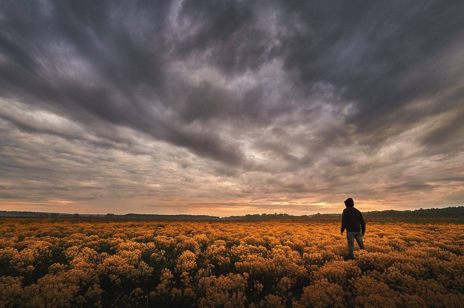 пейзаж поле тула небо облака, Каревский Дмитрий