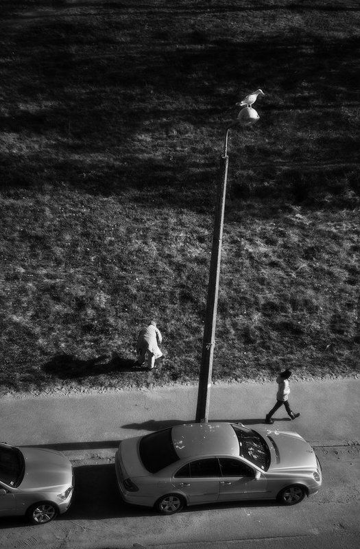 Я... А что я?.. Я ничего...photo preview