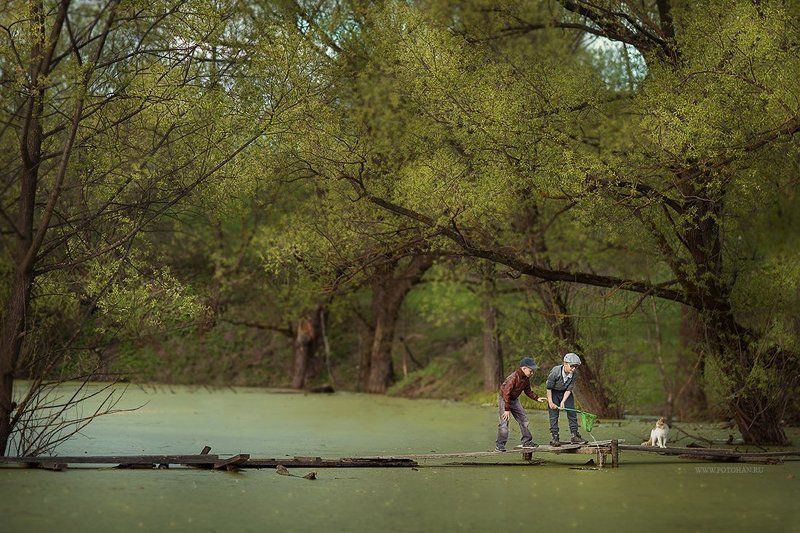 А мне рыбку?photo preview