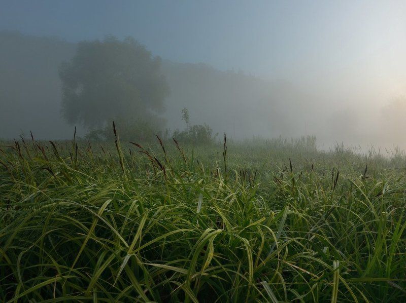 После короткой майской ночиphoto preview