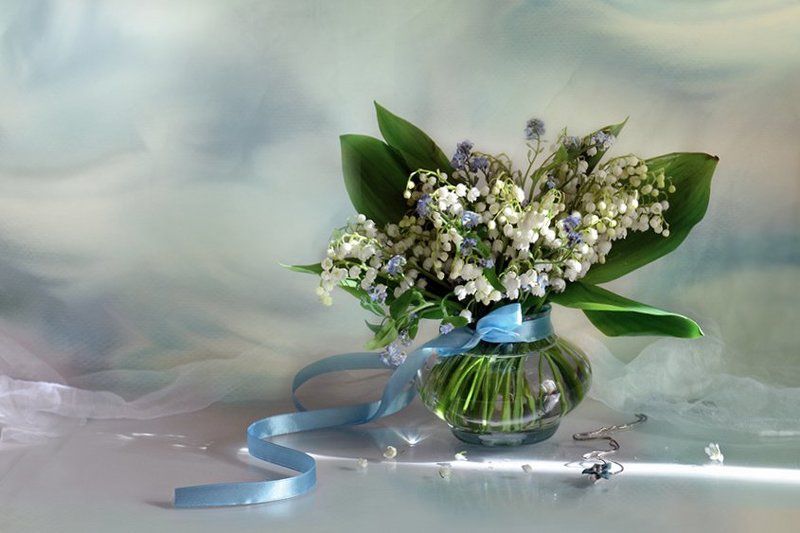 весна Лучик пониманияphoto preview