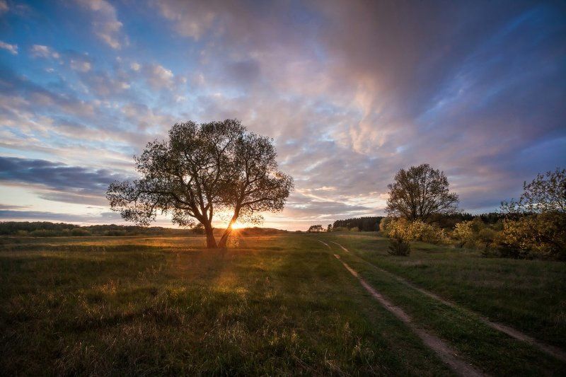 закат, весна Вечерphoto preview