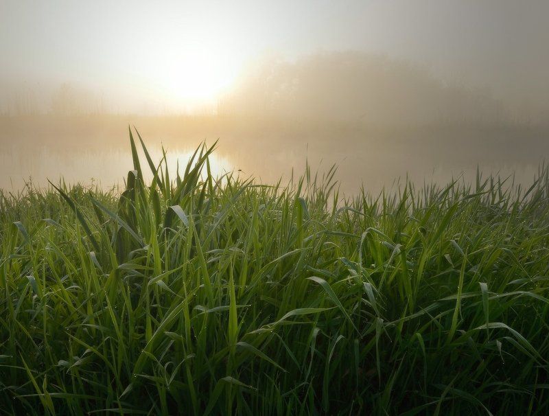 По утренней росеphoto preview