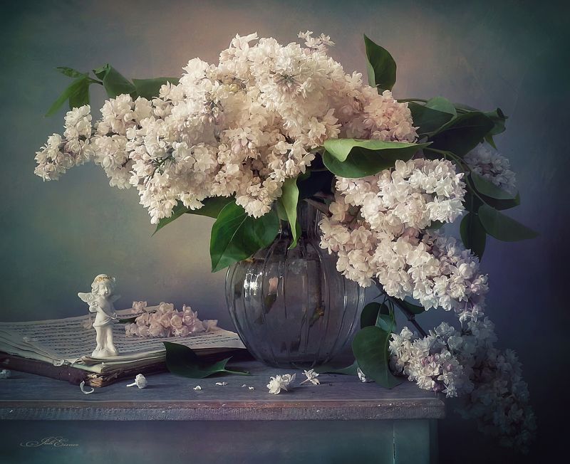 Для моего Ангелаphoto preview