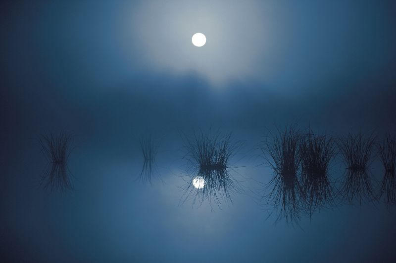 ночь,туман,болото,югра ночной туманphoto preview