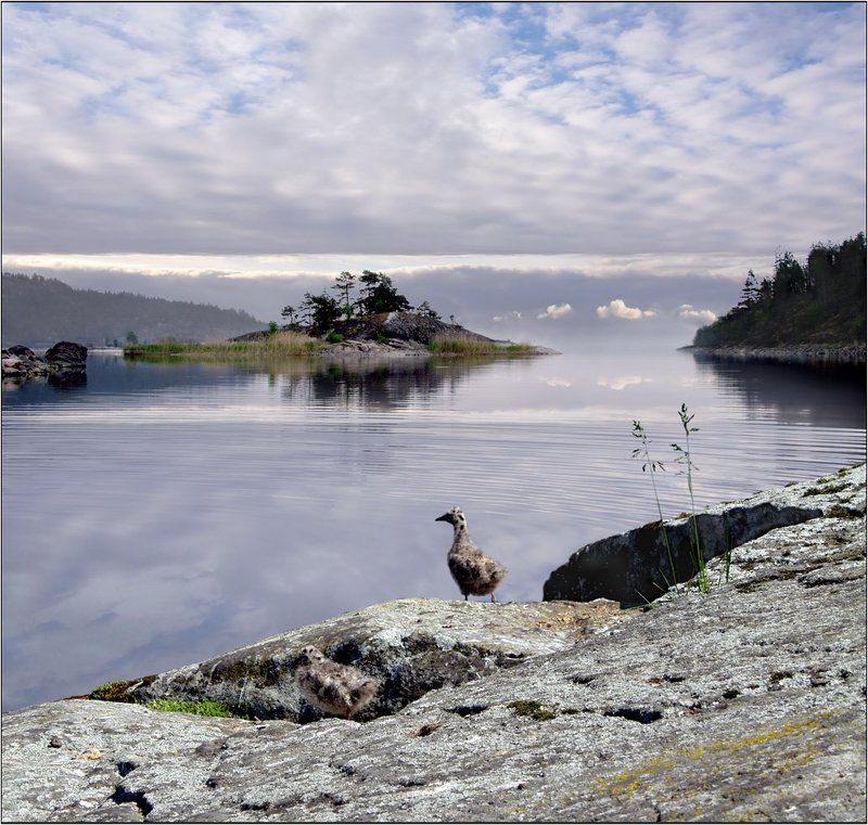 В шхерах Ладогиphoto preview