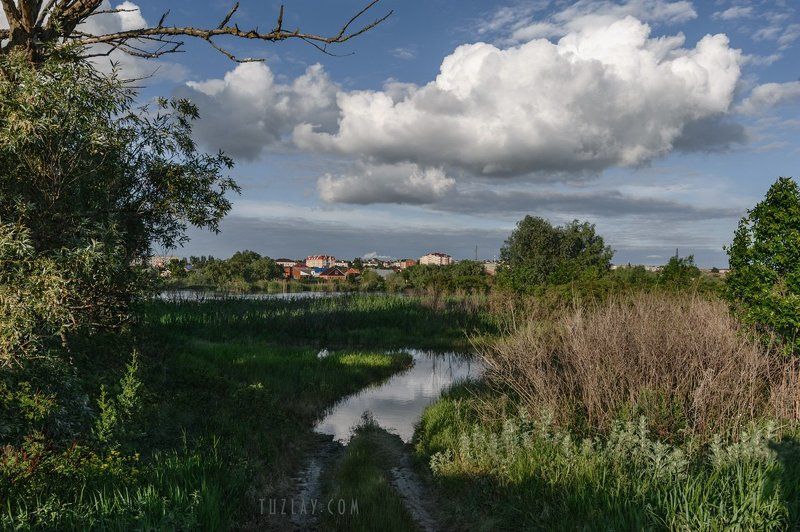 кубань, река кубань, темрюк Когда воды в реке много . . .photo preview