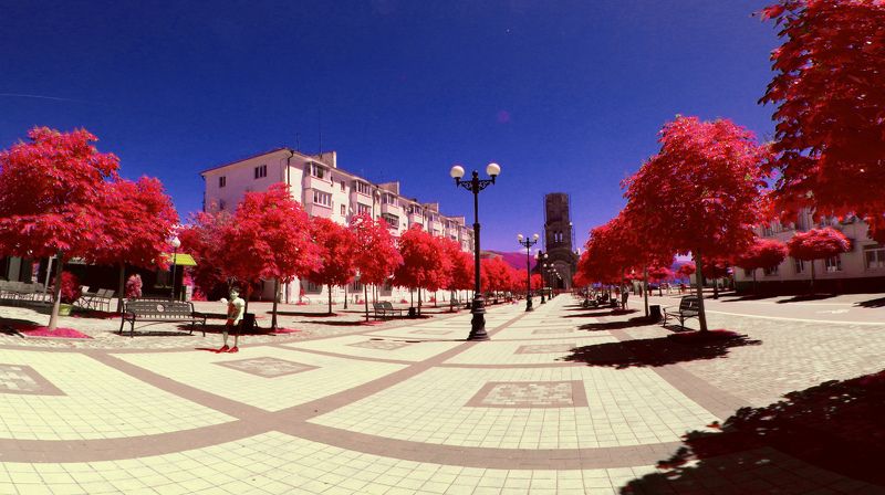 инфракрасная фотография, ик, цветная инфракрасная фотография Где-то в параллельной Вселеннойphoto preview