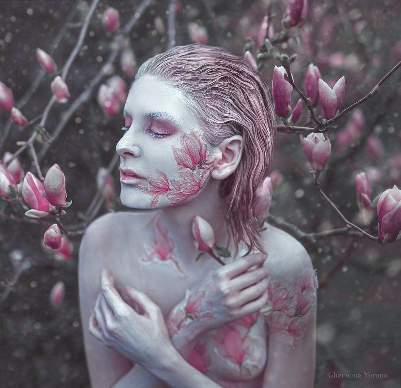 весна, магнолии, грим, снег, арт Cold Springphoto preview