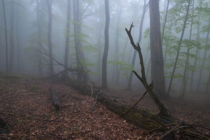 Туманная перспектива..... photo preview