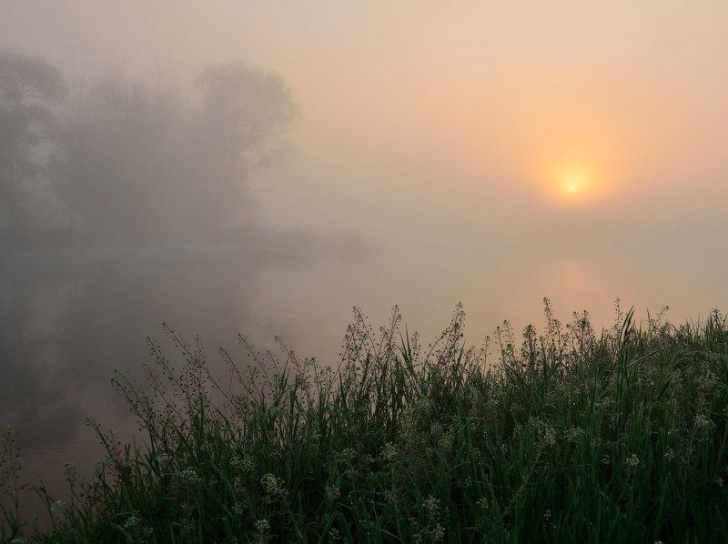 Ода тумануphoto preview