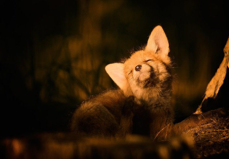 In the Sun of Breath...photo preview