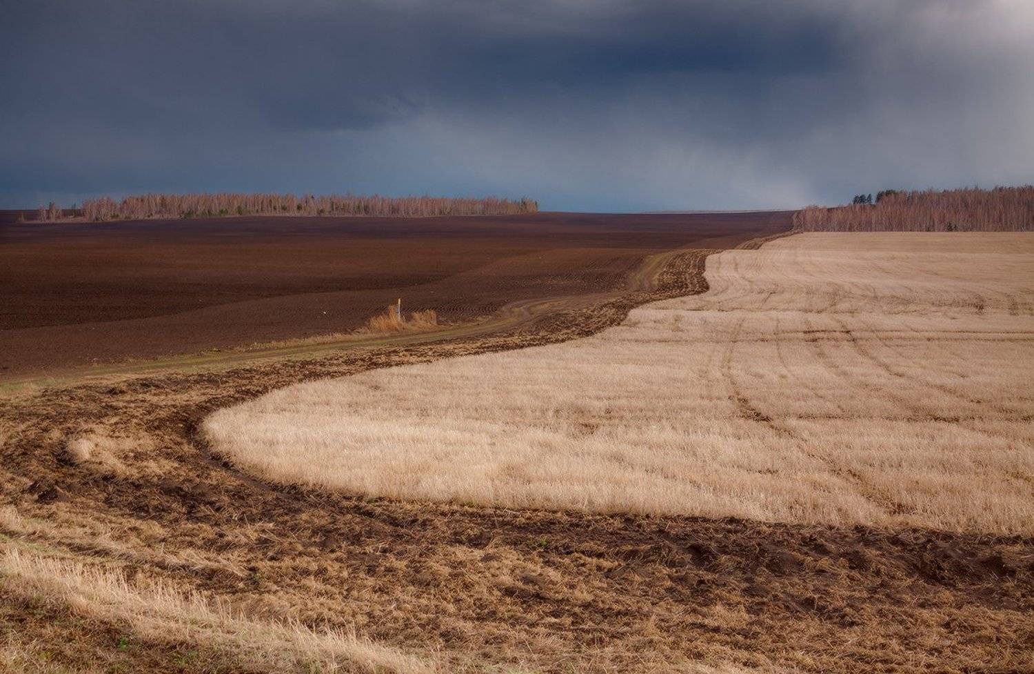 Противостояние 2. Автор: Николай Морский , Николай Морский