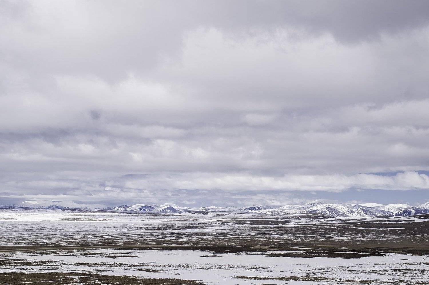 тундра, север, арктика, Евгений Труфанов