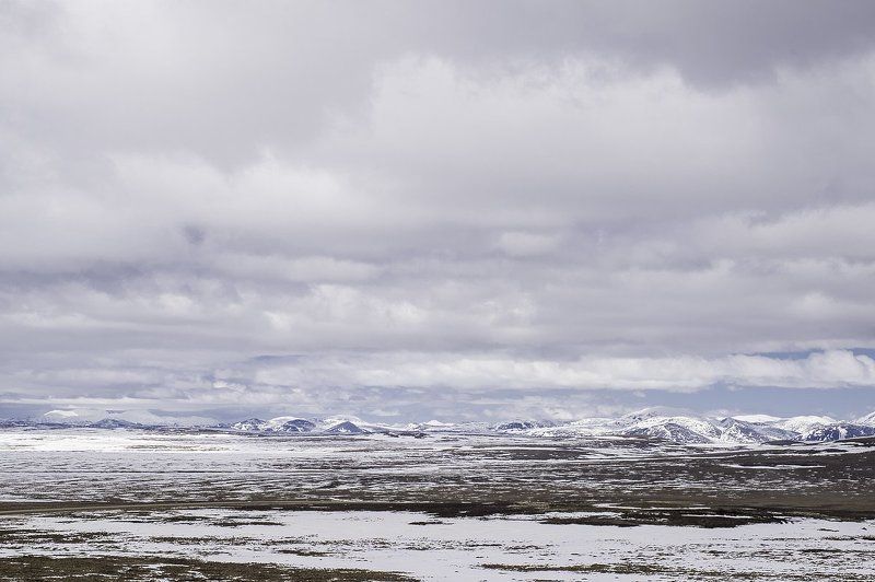 тундра, север, арктика Тундраphoto preview