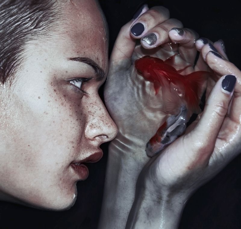 silence,fish Silencephoto preview