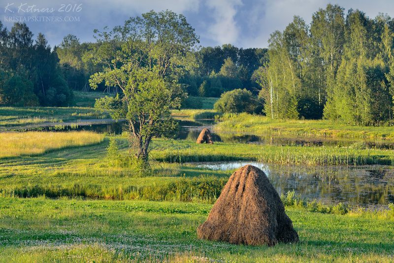field grass stack lake tree forest sky clouds water reflection summer latvia Midsummerphoto preview
