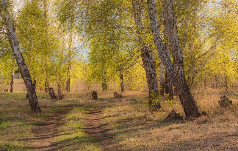 Весна-летоphoto preview